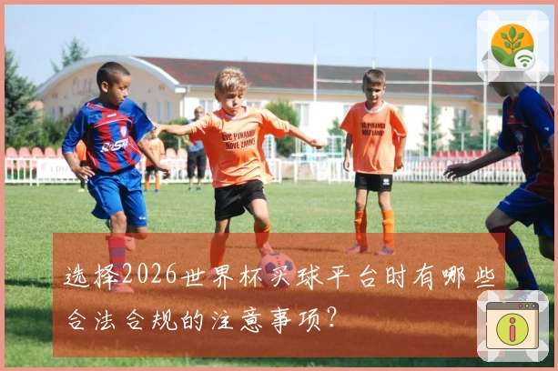 选择2026世界杯买球平台时有哪些合法合规的注意事项？