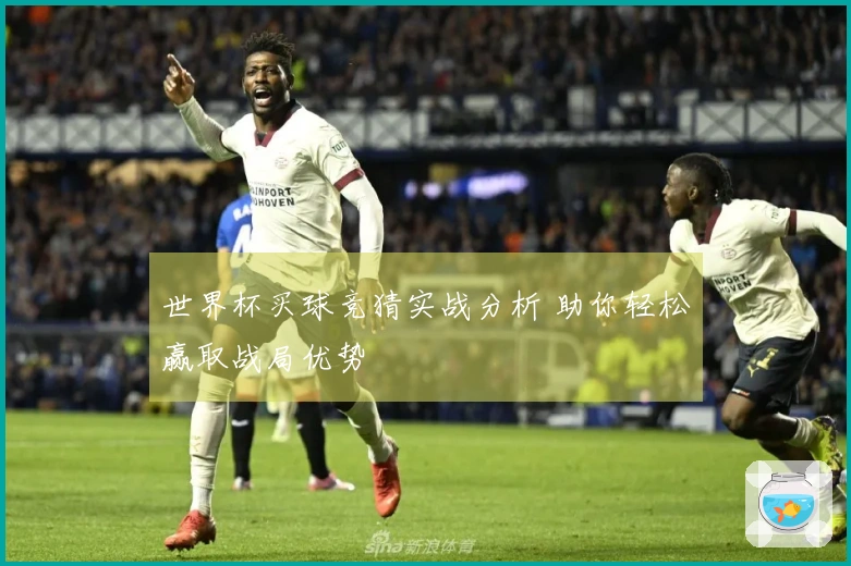 世界杯买球竞猜实战分析 助你轻松赢取战局优势