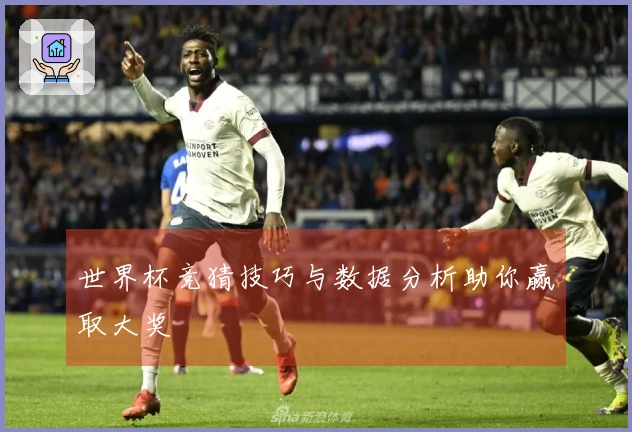 世界杯竞猜技巧与数据分析助你赢取大奖